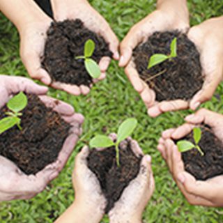 consecrate-disciple-elicited-non