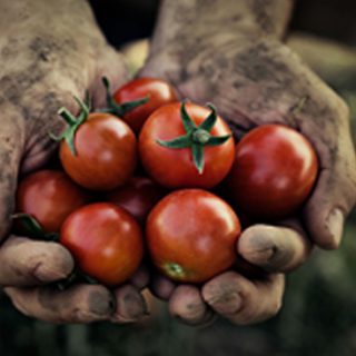 iste-natus-error-sit